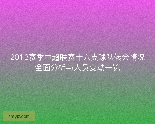 2013赛季中超联赛十六支球队转会情况全面分析与人员变动一览